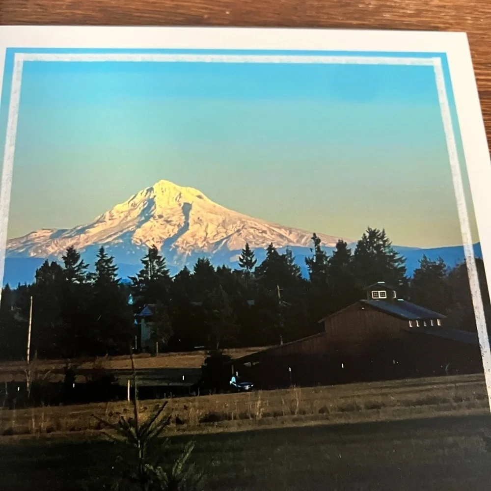 Pacific Northwest Photo Tile Set – 7 Original 8x8 Nature Photography Pieces